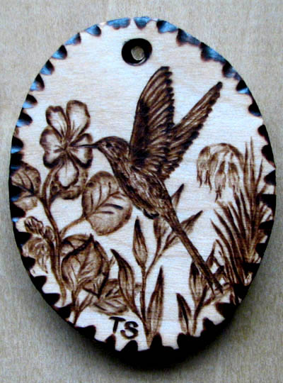 swallow tail  hummingbird  tanja sova pyrography